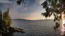 ./images/koeye/fitz-hugh/20260713/fitz-hugh20260713_205002M.jpg
