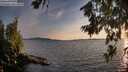 ./images/koeye/fitz-hugh/20260713/fitz-hugh20260713_205501M.jpg