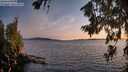 ./images/koeye/fitz-hugh/20260713/fitz-hugh20260713_212002M.jpg