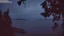 ./images/koeye/fitz-hugh/20260714/fitz-hugh20260714_044001M.jpg