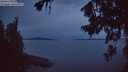 ./images/koeye/fitz-hugh/20260714/fitz-hugh20260714_044502M.jpg