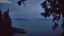 ./images/koeye/fitz-hugh/20260714/fitz-hugh20260714_045001M.jpg