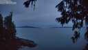 ./images/koeye/fitz-hugh/20260714/fitz-hugh20260714_045501M.jpg