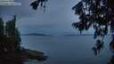 ./images/koeye/fitz-hugh/20260714/fitz-hugh20260714_050001M.jpg