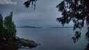 ./images/koeye/fitz-hugh/20260714/fitz-hugh20260714_050501M.jpg