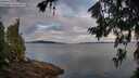 ./images/koeye/fitz-hugh/20260714/fitz-hugh20260714_062502M.jpg