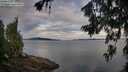 ./images/koeye/fitz-hugh/20260714/fitz-hugh20260714_063501M.jpg