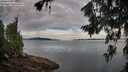 ./images/koeye/fitz-hugh/20260714/fitz-hugh20260714_065501M.jpg