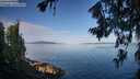 ./images/koeye/fitz-hugh/20260714/fitz-hugh20260714_081001M.jpg