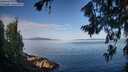 ./images/koeye/fitz-hugh/20260714/fitz-hugh20260714_081502M.jpg