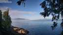 ./images/koeye/fitz-hugh/20260714/fitz-hugh20260714_082001M.jpg
