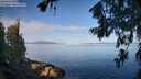 ./images/koeye/fitz-hugh/20260714/fitz-hugh20260714_082501M.jpg