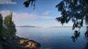 ./images/koeye/fitz-hugh/20260714/fitz-hugh20260714_083001M.jpg