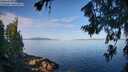 ./images/koeye/fitz-hugh/20260714/fitz-hugh20260714_083501M.jpg
