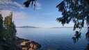 ./images/koeye/fitz-hugh/20260714/fitz-hugh20260714_084001M.jpg