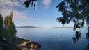./images/koeye/fitz-hugh/20260714/fitz-hugh20260714_084501M.jpg