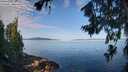 ./images/koeye/fitz-hugh/20260714/fitz-hugh20260714_085001M.jpg