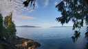 ./images/koeye/fitz-hugh/20260714/fitz-hugh20260714_085501M.jpg