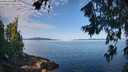 ./images/koeye/fitz-hugh/20260714/fitz-hugh20260714_090001M.jpg