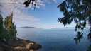 ./images/koeye/fitz-hugh/20260714/fitz-hugh20260714_090501M.jpg