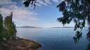 ./images/koeye/fitz-hugh/20260714/fitz-hugh20260714_091501M.jpg