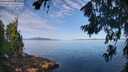./images/koeye/fitz-hugh/20260714/fitz-hugh20260714_092501M.jpg