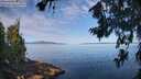 ./images/koeye/fitz-hugh/20260714/fitz-hugh20260714_093002M.jpg