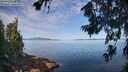 ./images/koeye/fitz-hugh/20260714/fitz-hugh20260714_093501M.jpg