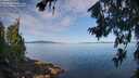 ./images/koeye/fitz-hugh/20260714/fitz-hugh20260714_094001M.jpg