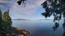 ./images/koeye/fitz-hugh/20260714/fitz-hugh20260714_094501M.jpg