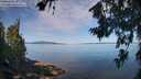 ./images/koeye/fitz-hugh/20260714/fitz-hugh20260714_095002M.jpg