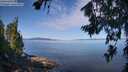./images/koeye/fitz-hugh/20260714/fitz-hugh20260714_100501M.jpg