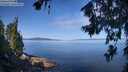 ./images/koeye/fitz-hugh/20260714/fitz-hugh20260714_101501M.jpg