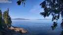 ./images/koeye/fitz-hugh/20260714/fitz-hugh20260714_102001M.jpg