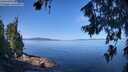 ./images/koeye/fitz-hugh/20260714/fitz-hugh20260714_102501M.jpg