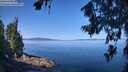 ./images/koeye/fitz-hugh/20260714/fitz-hugh20260714_103001M.jpg