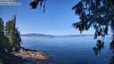 ./images/koeye/fitz-hugh/20260714/fitz-hugh20260714_104002M.jpg