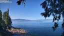 ./images/koeye/fitz-hugh/20260714/fitz-hugh20260714_104501M.jpg