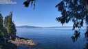 ./images/koeye/fitz-hugh/20260714/fitz-hugh20260714_105002M.jpg