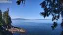./images/koeye/fitz-hugh/20260714/fitz-hugh20260714_105501M.jpg