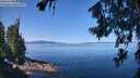 ./images/koeye/fitz-hugh/20260714/fitz-hugh20260714_110001M.jpg