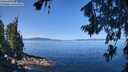 ./images/koeye/fitz-hugh/20260714/fitz-hugh20260714_110501M.jpg