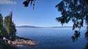 ./images/koeye/fitz-hugh/20260714/fitz-hugh20260714_111001M.jpg
