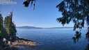 ./images/koeye/fitz-hugh/20260714/fitz-hugh20260714_111501M.jpg