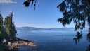 ./images/koeye/fitz-hugh/20260714/fitz-hugh20260714_112001M.jpg