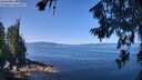 ./images/koeye/fitz-hugh/20260714/fitz-hugh20260714_112502M.jpg