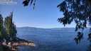 ./images/koeye/fitz-hugh/20260714/fitz-hugh20260714_113501M.jpg