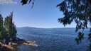 ./images/koeye/fitz-hugh/20260714/fitz-hugh20260714_115502M.jpg