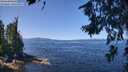 ./images/koeye/fitz-hugh/20260714/fitz-hugh20260714_120001M.jpg