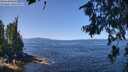 ./images/koeye/fitz-hugh/20260714/fitz-hugh20260714_120501M.jpg